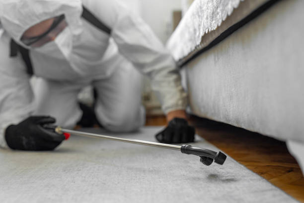 Professional Cockroach Control technician working in Harwood Heights, IL