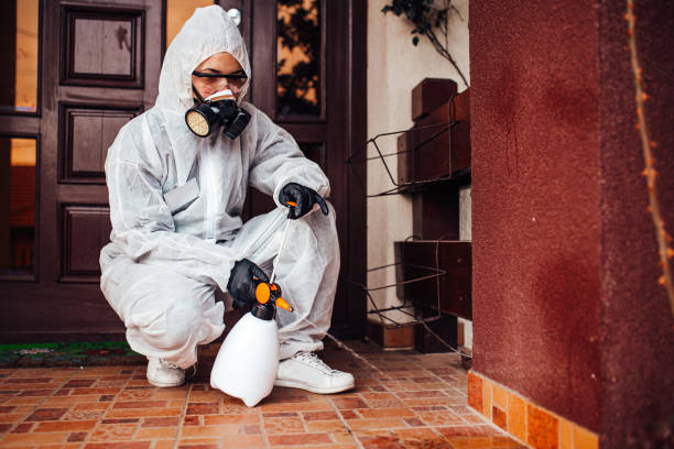 Reliable Cockroach Control contractor in Harwood Heights, IL by Nex Pest Control